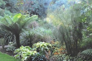 Le Jardin Austral- Le Jardin de Pellinec