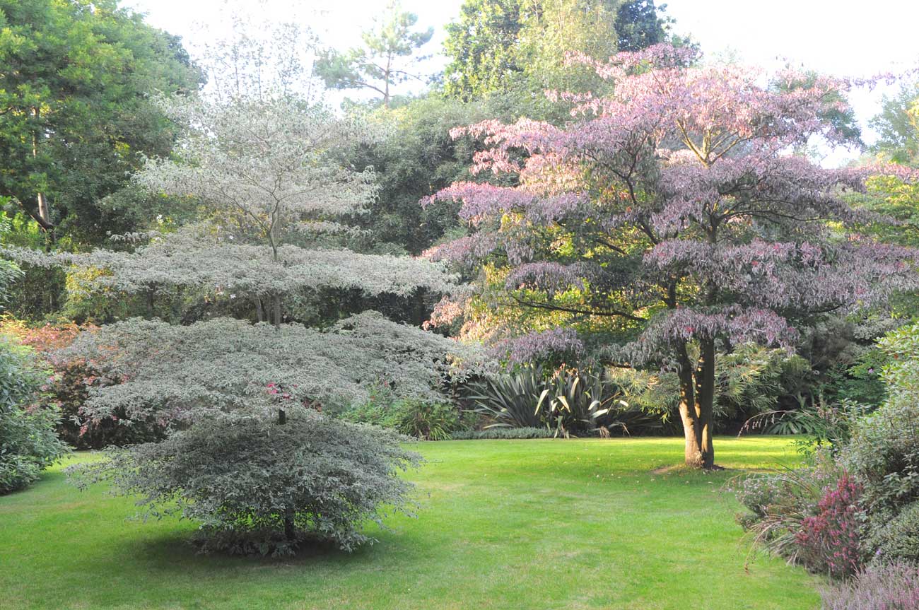Jardin anglais au Jardin de Pellinec